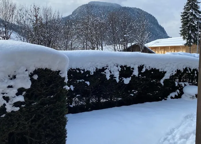 Erdgeschosswohnung, Sitzplatz, Garten, Nichtraucher