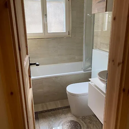 Erdgeschosswohnung, Sitzplatz, Garten, Nichtraucher Apartment Gstaad